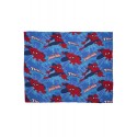 couverture polaire ultimate spider-man