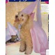 costume pour chiens:princesse taille l