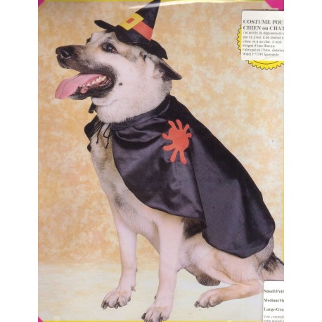 costume pour chiens:sorciere taille m