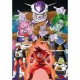 poster dragon ball z : son goku sur namec