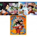 pack de posters dragon ball z