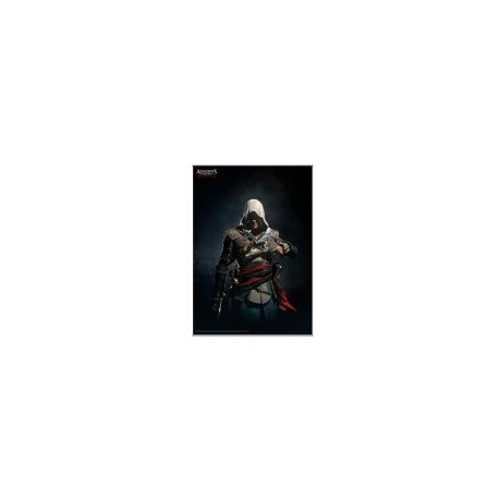 assassin's creed iv black flag - wall scroll volume 2