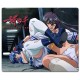 tapis de souris ikki tousen dragon destiny