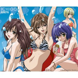 tapis de souris ichigo 100% beach girls