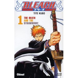 bleach tome 1