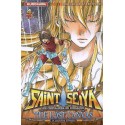 saint seiya - the lost canvas - hades vol.4