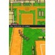 Inazuma Eleven [DS]
