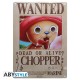 Plaque metal ONE PIECE Chopper wanted