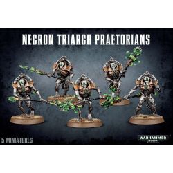 Necron Triarch Praetorians