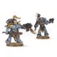 Meute Space Wolves