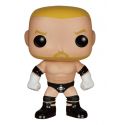 Figurine WWE Wrestling POP! Vinyl Triple H 10 cm