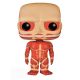 Figurine L'Attaque des Titans POP! Vinyl Colossal Titan 15 cm