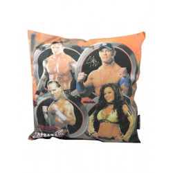coussin wwe wrestling entertainement catch