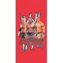 drap de plage catch wwe 76 x 152 cm